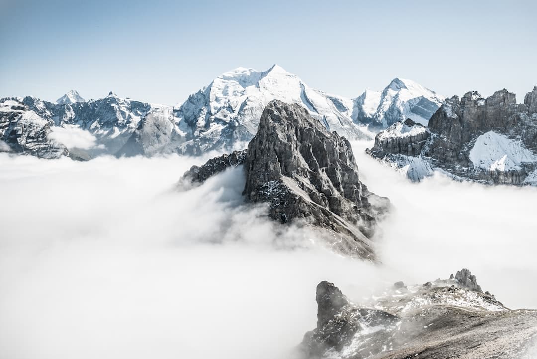 découvrez la beauté et la diversité de la nature à travers des paysages époustouflants, une faune fascinante et des écosystèmes uniques. plongez dans un univers où chaque élément raconte une histoire et où la tranquillité règne en maître.