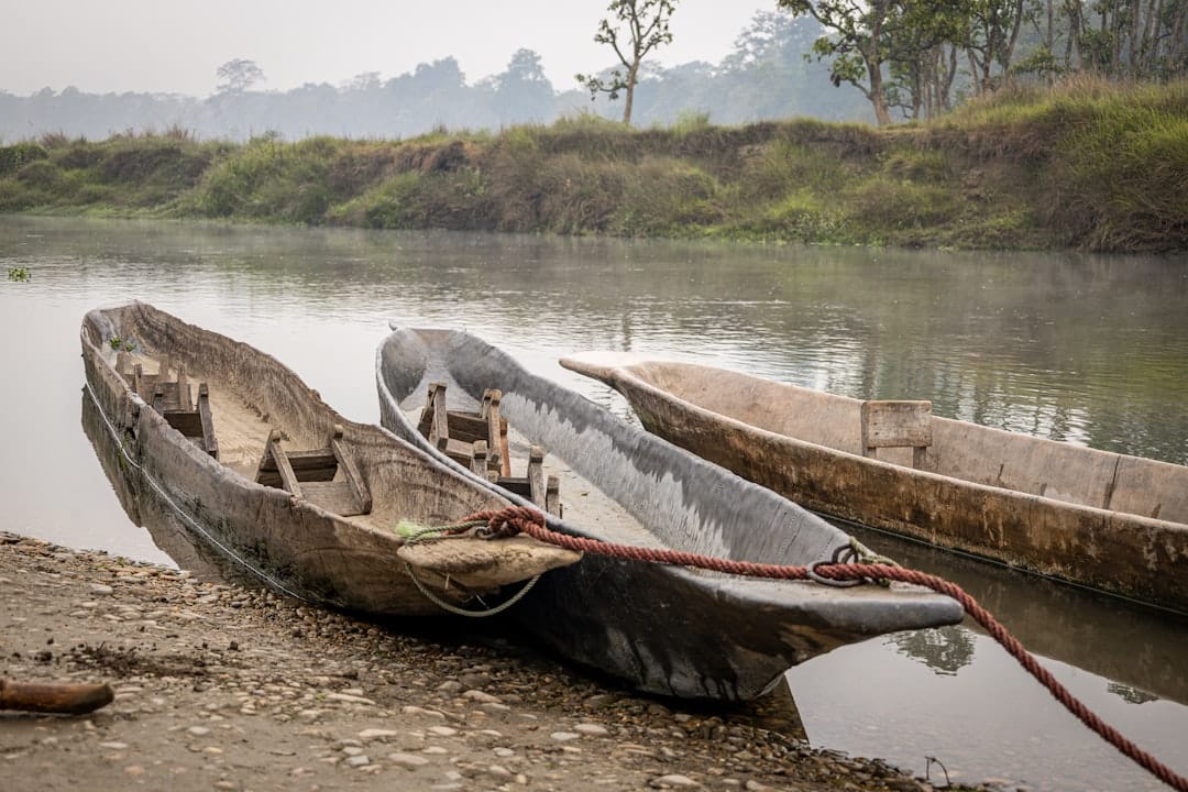 découvrez l'écotourisme, une façon responsable de voyager qui préserve la nature et favorise les communautés locales. explorez des destinations durables et engagez-vous dans des pratiques respectueuses de l'environnement tout en vivant des expériences authentiques et enrichissantes.